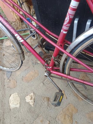 Bicicleta Gacela Roja