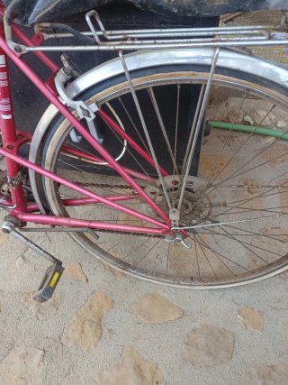 Bicicleta Gacela Roja