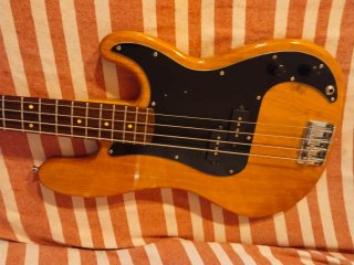 Bajo Precision