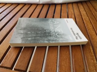 La Neu interminable