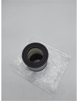 Greenstar SKANA – Filtro HEPA para aspiradora cenizas – para limpieza de chimenea - estufa de leña - estufa de pellet - barbacoa - p