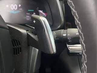 DS DS 7 BlueHDi DE 96kW (130CV) Auto. Rivoli