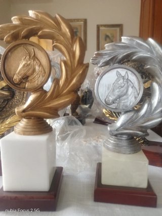 Lotes de Trofeos y Figuras Decorativas