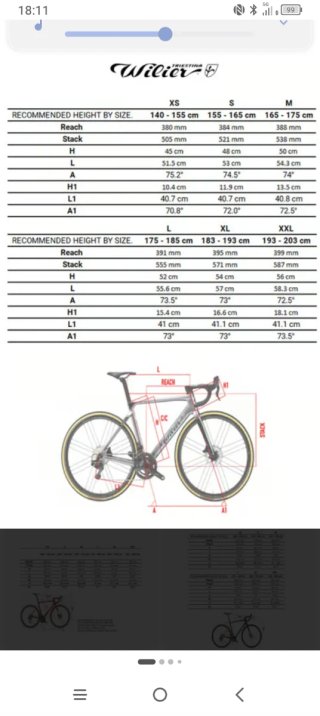 Bicicleta de carretera Wilier Triestina