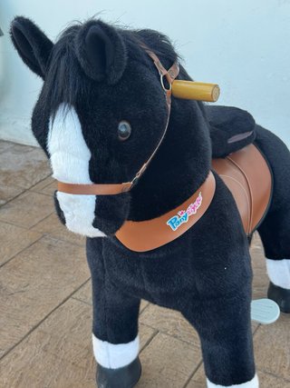 Caballo Ponycycle Negro