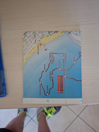 PS4 Grand Theft Auto V (GTA V)