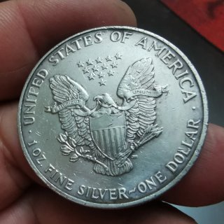 Aquila Americana in Argento 1991