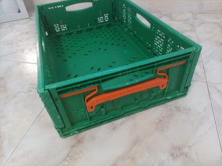 Cajas plegables verdes