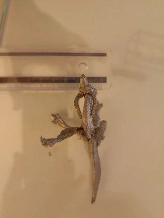 Dragón Metal Vintage 90s (Para Restaurar)