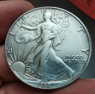 Aquila Calva Americana in Argento 1987