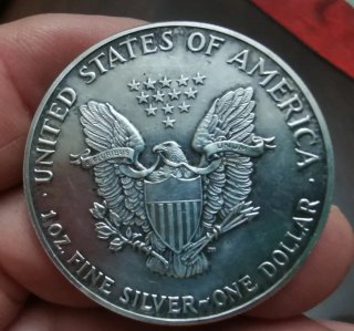 Aquila Calva Americana in Argento 1987