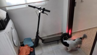 Patinete Xiaomi Scooter 4