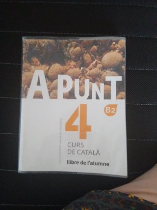 A punt Curs de català : llibre de l'alumne
