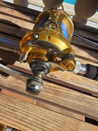Carrete PENN 30VSW + caña Maracaibo 50 lb