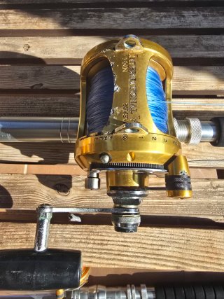 Carrete PENN 30VSW + caña Maracaibo 50 lb