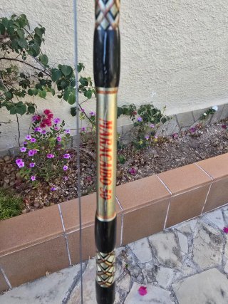 Carrete PENN 30VSW + caña Maracaibo 50 lb