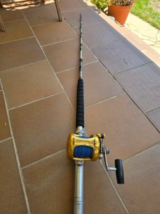 Carrete PENN 30VSW + caña Maracaibo 50 lb