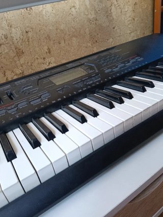 Teclado Casio CTK-3000 (61 Teclas)