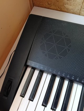 Teclado Casio CTK-3000 (61 Teclas)