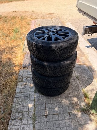 Llantas Renault 205/55R16