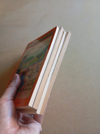 Lote 4 libros literatura juvenil en catalán.