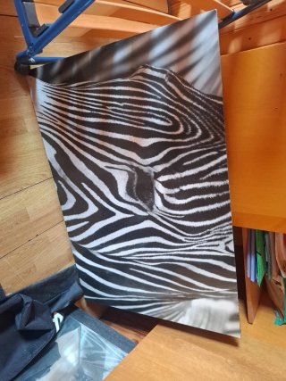 Cuadro Decorativo zebra Blanco y Negro