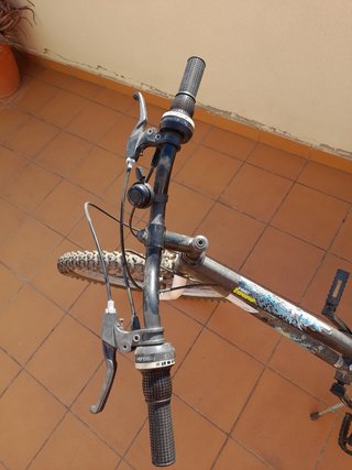 Bicicleta (P)