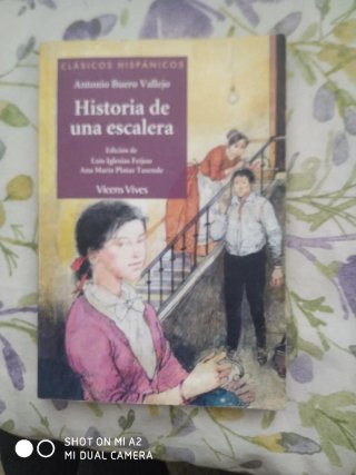 Historia De Una Escalera