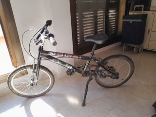 BICICLETA (P)