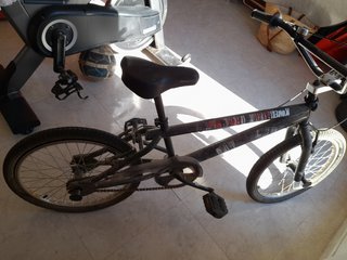 BICICLETA (P)