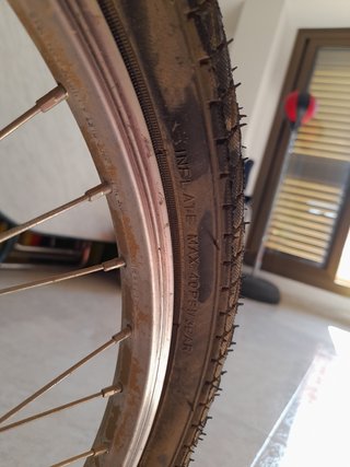 BICICLETA (P)