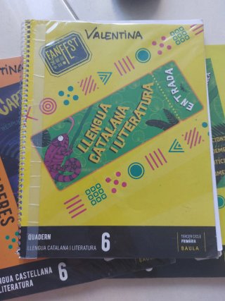 Llengua catalana i literatura