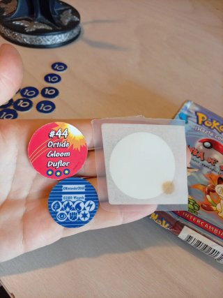 Caja Pokémon Tromba de Agua + Accesorios