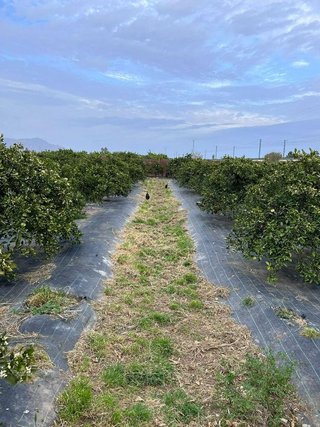 Terreno en venta en Centro en Murcia