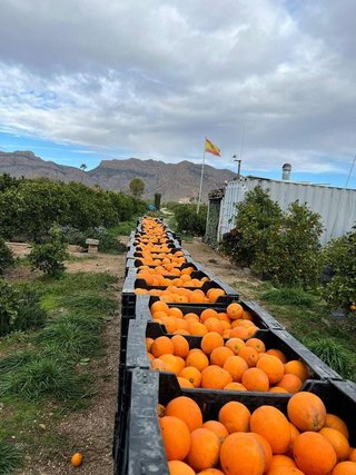 Terreno en venta en Centro en Murcia