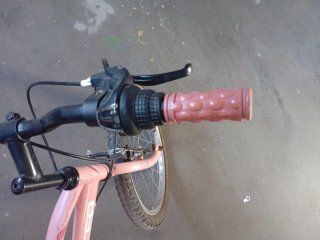 Bicicleta Niña Montaña Rosa