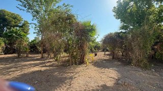 Terreno en venta en Albatalia en Murcia