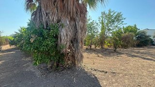 Terreno en venta en Albatalia en Murcia