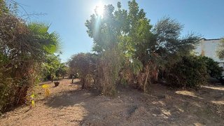 Terreno en venta en Albatalia en Murcia