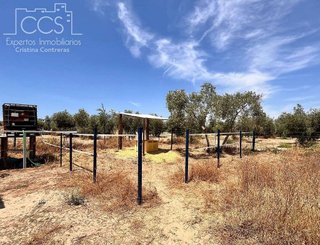 Terreno en venta en Almonte en Almonte