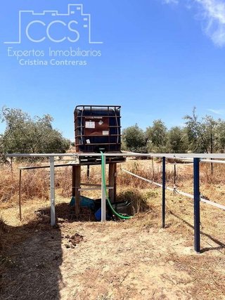 Terreno en venta en Almonte en Almonte