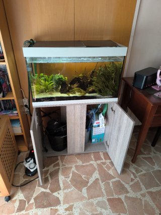 Acuario 100L + Mueble + Bomba