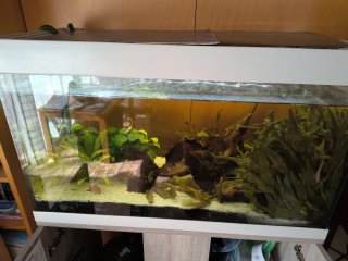 Acuario 100L + Mueble + Bomba