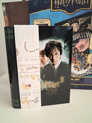 Lote Harry Potter: Maleta, Libro y Arte Foil
