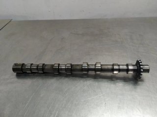 Arbol de levas LAND ROVER FREELANDER (LR2)