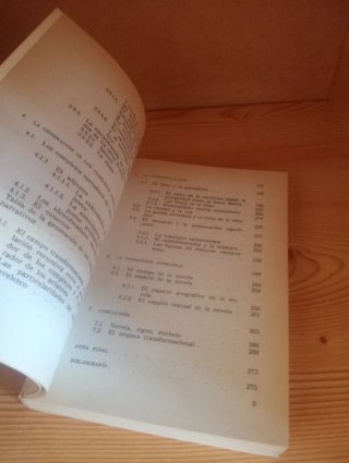 El Texto de la Novela