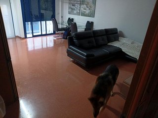 Piso en venta en Zona Poble en Benicarló