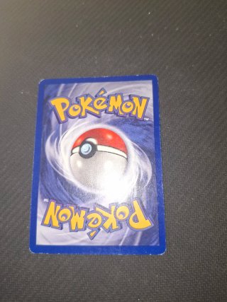 Kangaskhan Holo Jungle Set NL Carta Pokemon
