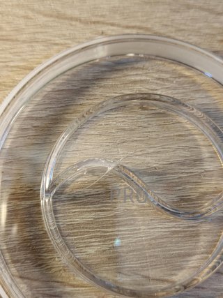 Espumador de Leche Eléctrico Morpilot