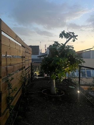 Casa pareada en alquiler en Feria-Alameda en Sevilla